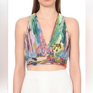 Alice + Olivia / Lola Schnabel V-neck crop top in Lady Lola Print - Size 4